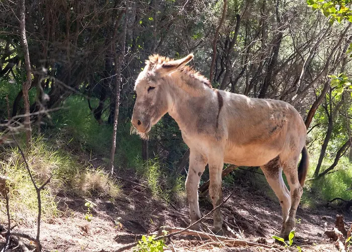 Couette-café Buen Retiro