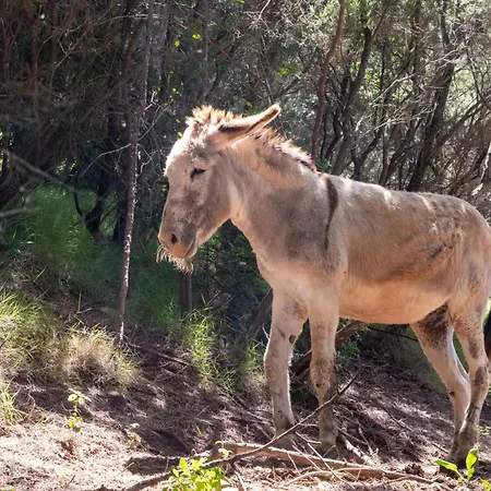 Bed & Breakfast Buen Retiro