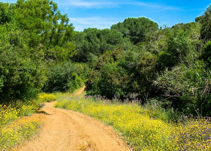 Buen Retiro Bed & Breakfast